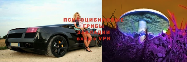 мет Михайлов