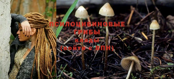 крисы Михайловка