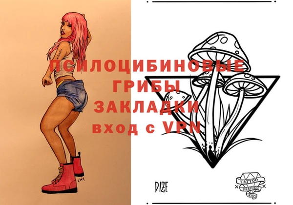 крисы Михайловка